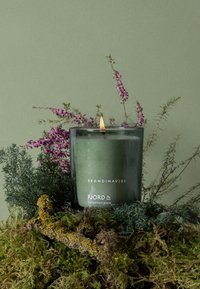 Grønne lys i en glasbeholder mærket "SKANDINAVISK FJORD." Omgivet af mos og lilla blomster på en dæmpet grøn baggrund.