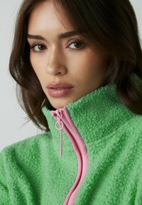Next OUTDOOR BORG QUARTER ZIP - Flisinis džemperis - green