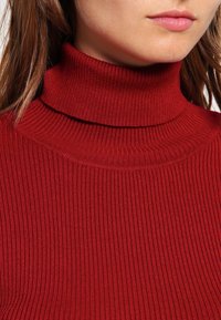 Pull rouge à col roulé côtelé avec un col ajusté. Le tissu est lisse avec des lignes verticales prononcées et une texture douce.