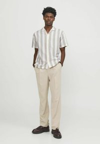 Camisa de manga corta a rayas en blanco y colores pastel, pantalones beige y zapatos marrón oscuro. Corte holgado con botonadura frontal.
