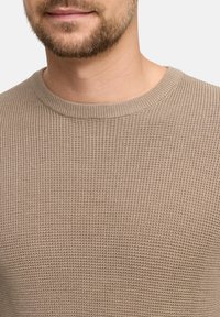 Beige gestrickter Pullover mit Rundhalsausschnitt, der ein strukturiertes Muster und gerippte Bündchen aufweist, aus einem weichen, atmungsaktiven Stoff gefertigt.