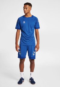 Blauwe sportieve shirt- en shortset gemaakt van ademend materiaal. Bevat een ronde hals, een bedrukte logo en zilveren zigzagaccenten op de shorts.