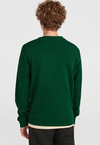 Groene sweatshirt met ronde hals en lange mouwen, gemaakt van een zachte stof. Heeft ribgebreide mouwen en zoom, gelaagd over een licht shirt.