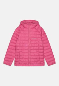 Neizvēlēts, pink ice