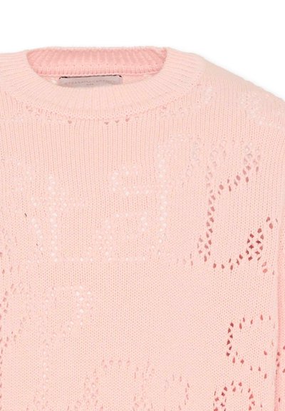 Jasnoróżowy dzianinowy sweter z teksturowanym wzorem i okrągłym dekoltem. Tkanina ma otwarte sploty i miękkie wykończenie.