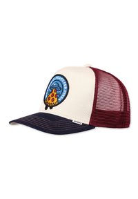 Djinn's HFT FOOD PEACE PIZZA - Cap - fossil