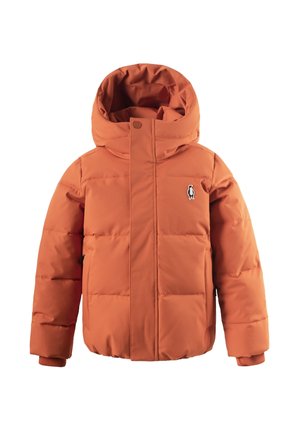 DRAGON EYE - Winterjacke - spice route rust