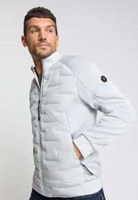 Helle graue Steppjacke mit hohem Kragen, vorderem Reißverschluss, kontrastierenden Ärmeln, strukturiertem Füllmaterial und schwarzem Logo am linken Arm.