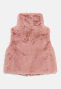 Gilet in pelliccia sintetica rosa con colletto alto, texture morbida e design senza maniche. Nessun sistema di chiusura visibile o dettagli aggiuntivi.