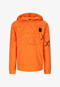 Selezionato, orange lion