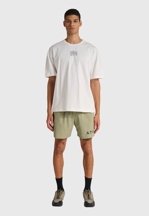 Shorts - elm