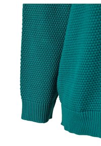 Zizzi Sweter