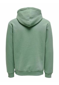 Un sweat à capuche vert en tissu doux, doté d'une capuche, de poignets côtelés et d'une silhouette décontractée. Le dos est uni, sans logos ni accents.
