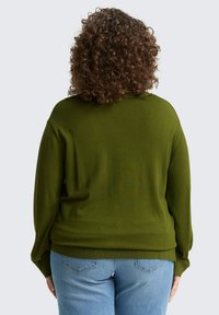 Grüner Strickpullover mit lockerer Passform, gerippten Bündchen und Saum, kombiniert mit blauer Jeans. Weiche Textur und keine sichtbaren Muster oder Akzente.