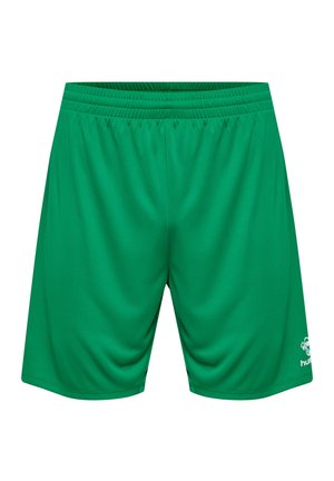Shorts de sport verts en tissu léger et lisse. Dotés d'une taille élastique et d'un logo dans le coin inférieur droit.