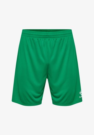 Grønne atletiske shorts lavet af let, glat stof. Har en elastisk talje og et logo i nederste højre hjørne.