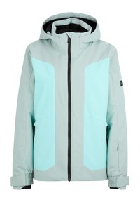 TARLA-Z - Ski jacket - dried eucalyptus