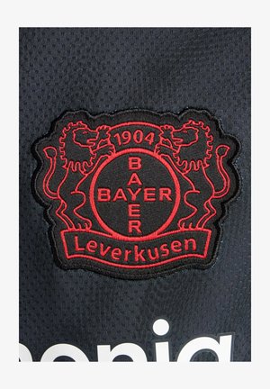 Zwarte stoffen patch met het logo van Bayer Leverkusen, met rode geborduurde leeuwen en de tekst "1904" en "BAYER Leverkusen." Gestructureerde achtergrond.