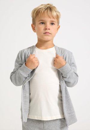 Felpa grigia con zip e polsini a costine, indossata sopra una maglietta bianca. Tessuto liscio, design casual e silhouette aderente.