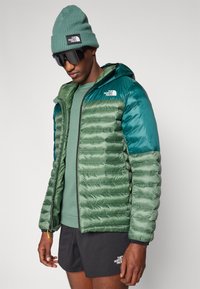 The North Face TERRA PEAK HOODIE - Vinterjakker - duck green/deep nori