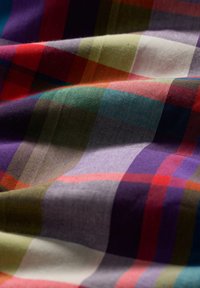 Daugiak رنگų plaid audinys su horizontaliomis ir vertikaliomis juostelėmis raudonos, žalios, mėlynos ir purpurinės spalvos. Minkšta tekstūra su švelniu blizgesiu.
