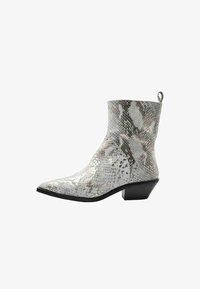 Seleccionado, silver