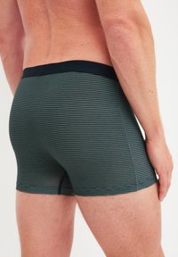 Gestreepte boxershorts in donkergroen en grijs, met een effen zwarte tailleband. Gemaakt van zachte, rekbare stof met een strakke pasvorm.