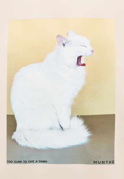 Άσπρη γάτα με αφράτη γούνα που χασμουριέται σε χρυσό φόντο, με ροζ στοιχεία και το κείμενο «ΠΟΛΥ GLAM ΓΙΑ ΝΑ ΝΟΙΑΖΟΜΑΙ» στο κάτω μέρος.