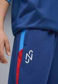 Marineblaue Sportshorts mit roten und blauen Seiteneinsätzen sowie einem weißen Logo am unteren Bein; aus strukturiertem, atmungsaktivem Material gefertigt.