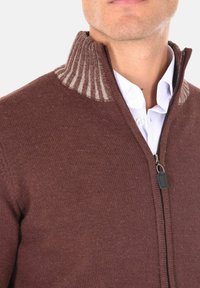 Maglione marrone lavorato a maglia con chiusura a zip, caratterizzato da un colletto a costine in tonalità più chiare. Texture liscia con variazioni di colore sottili.