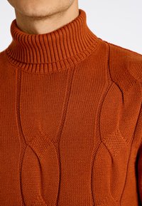 Lindbergh MEGA CABLE ROLL-NECK - Stickad tröja - rust