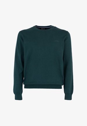 Ciemnozielony sweter z długim rękawem, wykonany z miękkiej, strukturalnej tkaniny. Posiada okrągły dekolt, prążkowane mankiety oraz małe logo na klatce piersiowej.