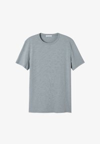 Nepasirinkta, grisaille