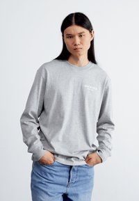 Dickies OATFIELD TEE - Pikkade varrukatega topp - grey