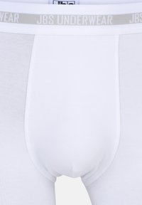 Mutande da uomo bianche con un elastico grigio che presenta la scritta "JBS UNDERWEAR". Realizzate in materiale morbido, dalla vestibilità aderente.