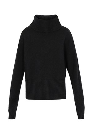 Must mustriga kõrge ribidega kaelusega, pika varrukaga ja ribidega alläärega. Pehme tekstuur ja lõtv, lühem siluett.