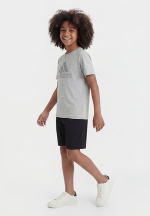 adidas Terrex Sports shorts - black