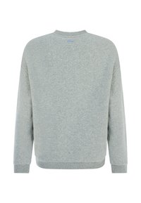 Grijze sweatshirt, ronde hals, lange mouwen, zachte stof, geribde manchetten en zoom, met een klein blauw logo op de achterkant van de halslijn.