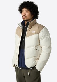 The North Face M SAIKURU JACKET - Vinterjacka - mushroom grey/white dun