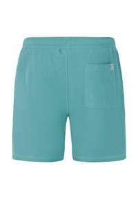 Protest Shorts - arcticgreen