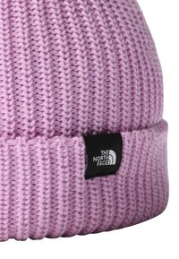 The North Face FISHERMAN BEANIE UNISEX - Berretto - lupine