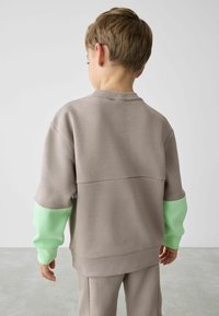 Brauner Sweatshirt mit hellgrünen Ärmeln, aus einem strukturierten Stoff gefertigt. Hat einen runden Halsausschnitt und eine lockere Passform. Von hinten betrachtet.