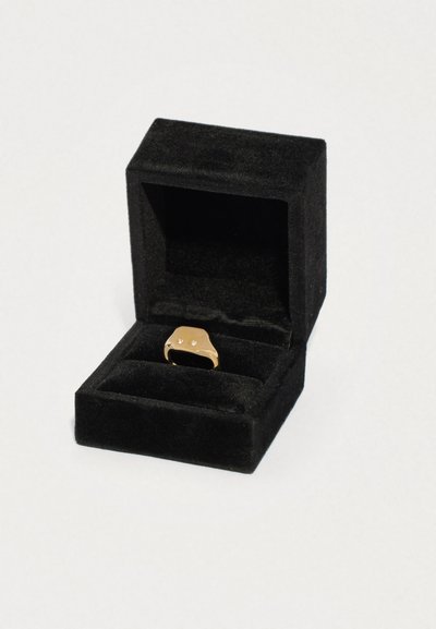 Zlatý pečetní prsten se dvěma malými diamanty v otevřené černé sametové šperkovnici na bílém pozadí.