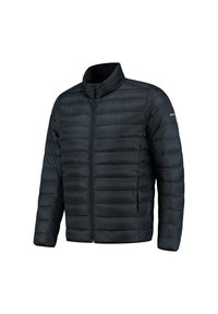 Zwarte donsjack met hoge kraag, met horizontale stiksels, ritssluiting en een gladde, lichte stof.