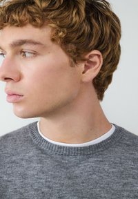 Grauer Strickpullover mit rundem Ausschnitt, über einem weißen Hemd getragen. Der Pullover hat einen strukturierten Stoff und gerippte Bündchen.