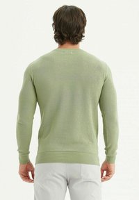 Pull en maille vert clair à manches longues, présentant un motif texturé et des poignets côtelés, vu de dos.