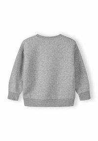 Grå sweatshirt med rundad halsringning, långa ärmar, ribbade ärm- och nederkanter. Tillverkad av mjukt, texturerat tyg med en slät yta.