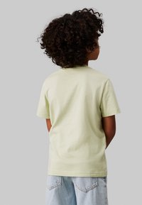 Calvin Klein Jeans MAXI HERO FLOCK LOGO - Apdrukāts T-krekls - celadon green