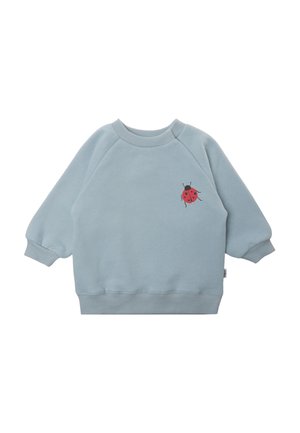 Helle blaue Sweatshirt mit gerippten Bündchen und Saum. Auf der Vorderseite befindet sich eine Grafik mit einem roten Marienkäfer. Aus weichem, strukturiertem Stoff gefertigt.