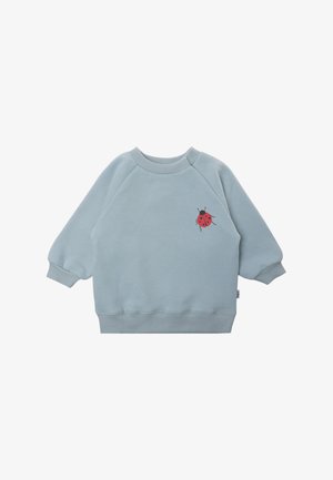 Light blue sweatshirt with ribbed cuffs and hem. Features a red ladybug graphic on the front. Made of soft, textured fabric.